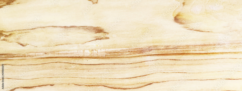 Soft light wood planks with natural texture, wooden panel and retro ...