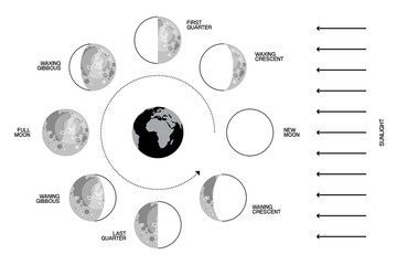 Wall Mural - Moon phases scheme sphere shadow cycle astronomy icon set. Vector Illustration background