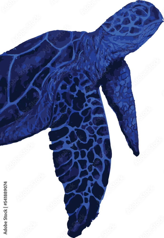 watercolor turtle painting on a white background Stock Vector | Adobe Stock