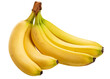 PNG. Bananas. Bunch of ripe bananas