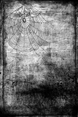 Wall Mural - Spiderwebs isolated on black grunge background. Halloween party design