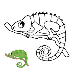 Wall Mural - Coloring book for children. Chameleon outline  illustration.
