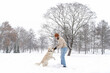© Chiralli - Young man in beige sweater and blue jeans playing with white dog golden retriever during snowfall outdoor in public park. Winter time. Leisure games, outside pursuit activity. Domestic pet training.