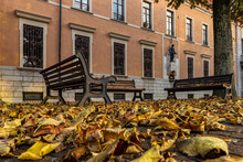 Panchine Con Tappeto Autunnale