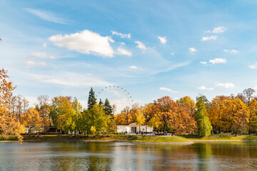 Poster - autumn landscape in the park