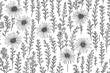 Flower pattern. Seamless background with floral herbs. Vintage botanical monochrome print with wild field and meadow plants. Repeatable herbal texture. Hand drawn illustration in retro style.