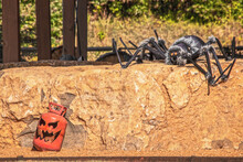 Residential Halloween Decorations - Scary Pumpkin Made Out Of Old Propane Gas Cylinder Leaning Against Huge Landscape Rock With Hairy Bright Eyed Spider On Top - Room For Text.