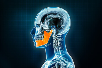 Wall Mural - jawbone or mandible or lower jaw x-ray lateral or profile view. osteology of the human skeleton 3d r