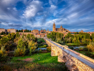 Wall Mural - Aerial view of Salamanca with the cathedral and the roman bridge.