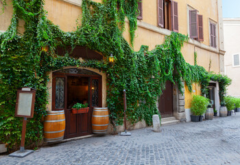 Wall Mural - Narrow street in Rome