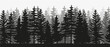 Spruce treeline silhouette landscape. Pine tree silhouette landscape