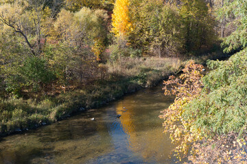 Wall Mural - river in autumn