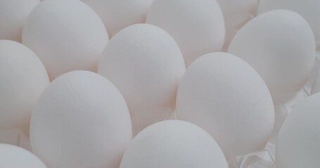 Canvas Print - Stack of white chicken egg