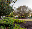 Fall in Auburn University 2022