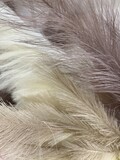 Fototapeta Boho - close up of feathers