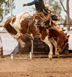 Saddle Bronc Riding At An australian Country Rodeo