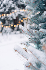 Poster - Closeup of Christmas tree with light. Christmas and New Year holiday background.