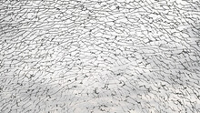 Broken Glass, Many Cracks On Glass Transparent Surface Of Window Against Cloudy Gray Sky. Texture Background