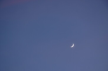Wall Mural - half moon on blue sky in evening