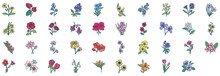 
Collection Of Icons Related To Flowers, Including Icons Like Fuchsia, Daisy, Sunflower And More. Vector Illustrations, Pixel Perfect Set
