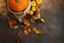 秋の背景　感謝祭やハロウィンの背景　オレンジや黄色のカボチャと落ち葉や松ぼっくりの飾り付け