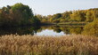 Schöner Teich im Herbst