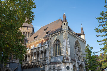 Wall Mural - Gothic Building at Vajdahunyad Castle - Budapest, Hungary