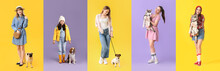 Set Of Women And Little Girl With Cute Dogs On Color Background
