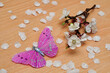 Apricot blossoms displayed with an artificial silk butterfly