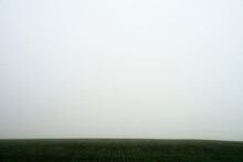 Green Field And Foggy Sky
