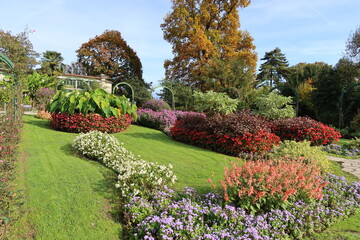  garden with flowers and trees