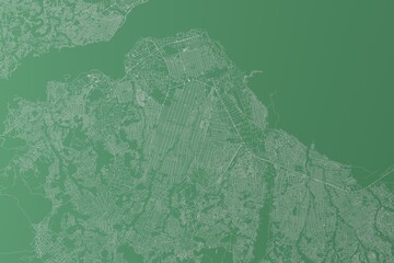 Stylized map of the streets of Kinshasa (Congo) made with white lines on green background. Top view. 3d render, illustration