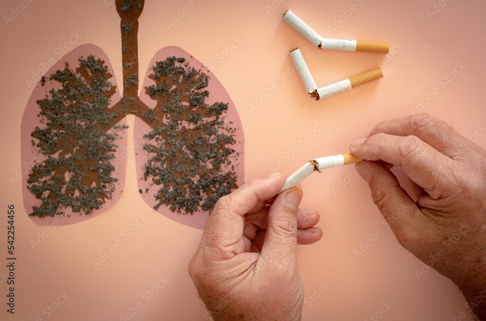 Fotografie World No Tobacco Day. Man holding broken cigarettes in hand on  unhealthy lungs drawing. He quit smoking message. Cigarette, nicotine  damage, smoke-damaged lungs. ve službě Stock