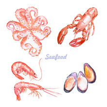 Seafood, Octopus, Shrimp, Mussels, Lobsters, Watercolor Food Illustrations 