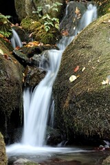 Canvas Print - waterfall in the forest