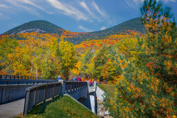 Wall Mural - Leaf Peeping in New Hampshire in Autumn Room for a Title