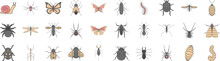 Insect Icon Collections Vector Design