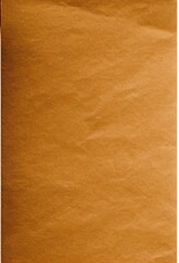 Wall Mural - Brown cardboard sheet of paper background