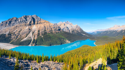 Wall Mural - banff national park, alberta, canada. a huge panorama of lake peyto. landscape during daylight hours