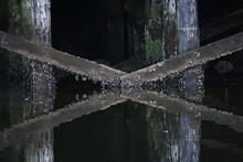 Barnacle-covered Wooden Pilings Reflected In The Harbor At Sitka, Alaska.