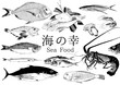 sea food　fish　海の幸　海鮮　鮮魚　鯛　伊勢海老　鯵　鰹　金目鯛　飛魚　笠子　鮑　車海老　魚