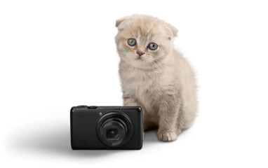 Poster - Cute little kitten with camera isolated on white background