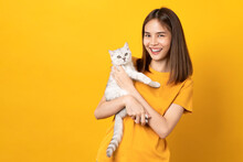 Studio Shot Of Cheerful Beautiful Asian Woman Hands Holding A Small White Kitten With Black Stripes, Of The Scottish Fold Breed On Orange Background.