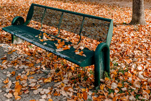 A Green Bench Of A City Public Park Is Covered With Colorful Autumn Leaves, Bientina, Pisa, Italy