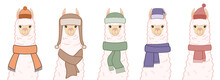 Collection Of Cute Alpacas In A Winter Hats And Scarfs. Alpaca Portraits Isolated On White Background. Vector Illustration