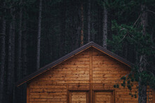 Forest Cottage Home In Pine Woodland At Night