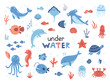 Vector cute set with sea animals. Marine collection with whale, dolphin, octopus, narwhal, jellyfishes and other fish. Shells and algae. Inhabitants of the sea world in flat design.