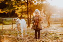Girl Holding Dry Grass Standing By Goat On Farm