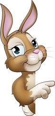 Poster - Easter Bunny Rabbit Cartoon Character Peeking Sign