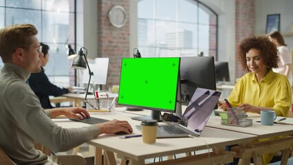 Poster - Multiethnic Group of Creative Colleagues Smiling While Working on Computers in Busy Modern Bright Office. White Man Designing Using Green Screen. Female Copywriter Typing. Zoom In Shot.